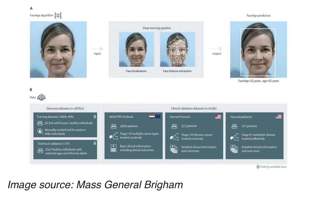 A series of full front facing faces demonstrating the technique used to identify various facets of the photo.